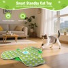 IOKHEIRA Interactive Cat Toy, Touch-Activated, Hidden Feather, Realistic Mouse Squeaking