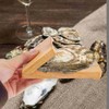 Fansoftiks Oyster Shucking Opener Shucker Seafood Clamp Tool Holder Shellfish