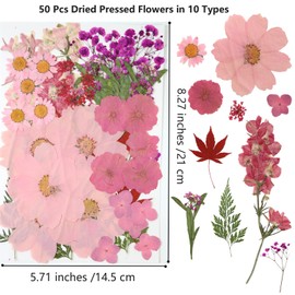 10 Types 50PCS Dried Flowers for Resin & Pressed Flowers Kit -Real Pressed Flowers and Leaves for DIY Art, Crafts, Pressed Flower Frame, Jewelry, Bookmarks ect- Perfect for Unique Gifts and Home Decor