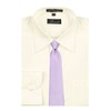 ADF 13 Mens Lilac Solid Necktie