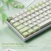 Womier Matcha Green Keycaps PBT, Jelly Keycaps 60 75 100