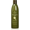 Hair Chemist Champú revitalizante de macadamia, 10 onzas