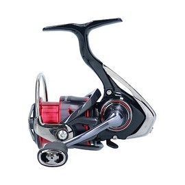 Daiwa Fishing Fuego LT 2000