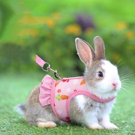 Small Animal Harness Leash & Hat Set - Breathable Mesh, Adjustable Velcro Closure - 3 Colors - Escape-Proof Vest for Bunny, Chinchilla, Guinea Pig, Hamster for All-Season