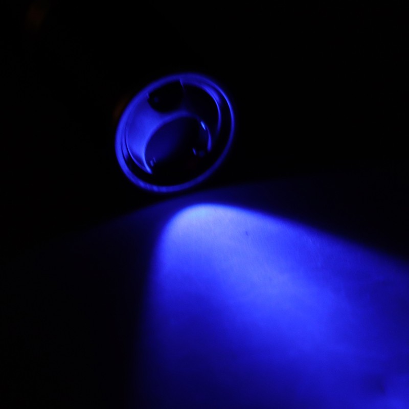 Pet Moss Light Hand Held LED UV Flashlight for Detecting