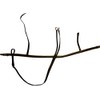 Amesbichler Reitsport Breastplate with Martingale 1A *