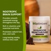 BiOptimizers Chocolicious Mushroom Breakthrough | Nootropic Supplement Blended Powder of