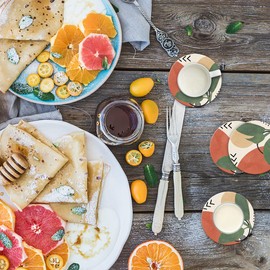 Dooke Coasters for Drinks, Round Absorbent Ceramic Stone Coasters Set of 6 with Cork Base,Drink Coasters with Holder for Cold Drinks Wine Mugs and Cups Tabletop Protection, 4 Inches,Abstract Plants