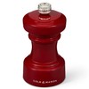 Cole & Mason Hoxton Mill - Table Salt Grinder -