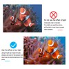 Sea frogs RGB Video Light with 3 Cold Shoe Waterproof