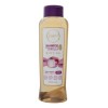 Anyeluz Shampoo Con Cebolla Y Biotina Sin Sal - 500