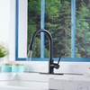 Black Kitchen Sink Faucets with Pull Down Sprayer, Single Handle