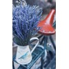 TooGet Natural Lavender Bundles, 200 Freshly Harvested Dried Stems Lavender