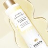 Pantene Sulfate Free Shampoo with Castor Oil, Nutrient Blends Fortifying