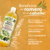 Shampoo Bao Botanico Extracto De Romero (anticaida) 1 Lt