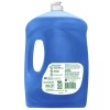 Palmolive Ultra Liquid Dish Soap, Oxy Power Degreaser, 70 Fluid