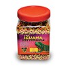 T-Rex Iguana Food - Adult Formula 6 oz