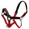 John Whitaker Unisex Padded Head Collar Red/Navy Pony