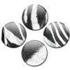 Fridge Magnets Zebra Stripes Set of 4 Animal Fur Look