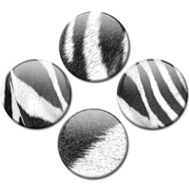 Fridge Magnets Zebra Stripes Set of 4 Animal Fur Look Magnets for Magnetic Board Strong Large Diameter 50 mm