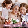 axxxt Mothers Day Roses Gifts, Rose in Angel Figurines Gifts