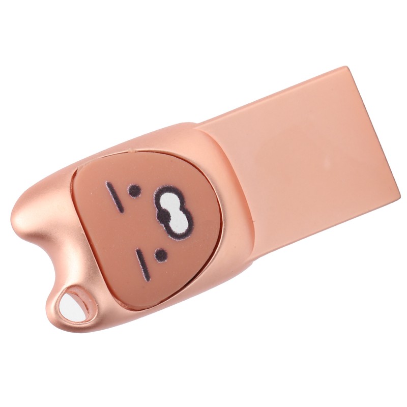 U Disk Portable Data Reading Transmission Device Card Reader Cartoon