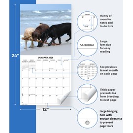 2026 Labs Monthly Wall Calendar | 12" x 24" | Labrador Retriever Dogs Calendar September 2025- December 2026