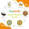 Ecokanta 100% Compostable 6-Compartment Dinner Plates - Eco-Friendly, Biodegradable Sugarcane