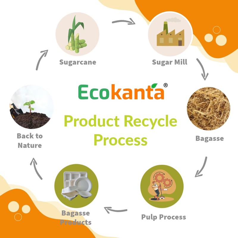 Ecokanta 100% Compostable 6-Compartment Dinner Plates - Eco-Friendly, Biodegradable Sugarcane