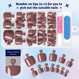 Bellelfin 144pc Brown Press on Toenails for Women, Brown Toe Nail Press ons Short Square Toe Press on Nails Fake Toe Nails Tips False Toenail Press ons with Nail Glue and Adhesive Tabs