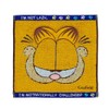 Marushin 3995002700 Garfield Hate Monday Mini Towel, 100% Cotton, Antibacterial