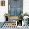 Flower Pot Diversion Safe with Plants, Planter with Hidden Safe