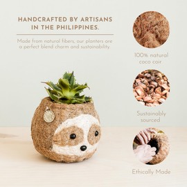 LIKHA Adorable Animal Head Planter - Handmade Eco-Friendly Planter – Unique Coco Coir Mini Animal Planter – Ideal for Succulents, Cacti, Indoor Plants - (Two-Tone Sloth, 2.5'' Opening)