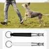 Pack of 2 Dog Whistles RüTter Recall Educational Aids for