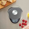 Taylor Digital Kitchen Scale with Glass Platform, Tare Button, and