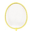Badminton Rackets Iron Alloy Lightweight Badminton Racquets with 3 Balls
