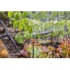 Gardena Micro Drip System Shut-Off Valve, 4.6 mm (3/16 inch):