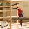 8PCS Bird Perch Natural Wooden Parrot Parakeet Toy Stand Branches