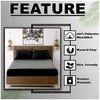 VELVETIO Easy Care Plain Black Fitted Sheet, Soft Breathable 100%