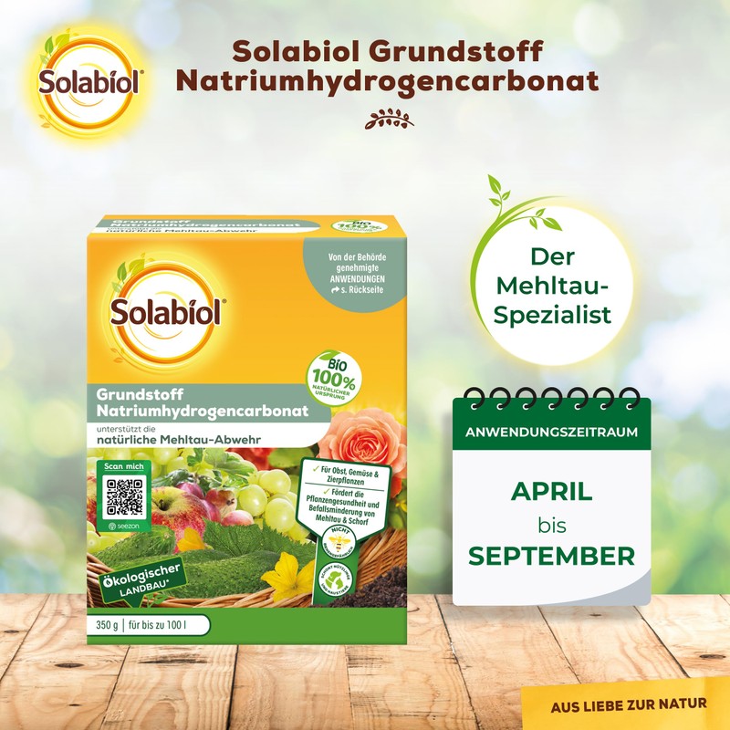 Solabiol Basic Material Sodium Hydrogen Carbonate, Natural Defence Against Fungal