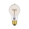 Globe Electric 01325 60W Vintage Edison A19 Quad Loop Incandescent
