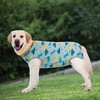 kzrfojy Dog Surgery Recovery Suit Dog Surgical Onesie for Female