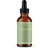 Mielle Rosemary Mint Scalp & Hair Oil 2oz, clear