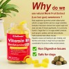 Safgumjel Gomitas Vitamina B1 Benfotiamina 60 Gummies
