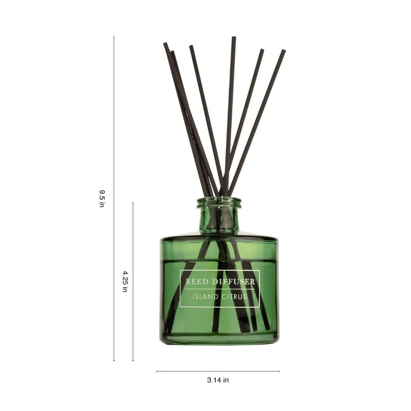 Bellevue Reed Diffuser, 6 fl oz Glass Filled Diffuser, Highly