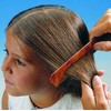 ABD Lice Comb, 3 Pack, Professional Treatment and Prevention of