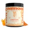 Commons Hongos Adaptógenos - Hongo Cordyceps - Extracto Puro en