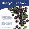 MapleLife Nutrition - Acai Berry 500 mg - Pure Superfruit