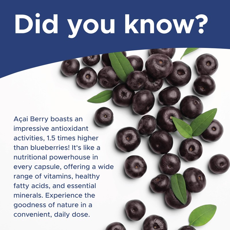 MapleLife Nutrition - Acai Berry 500 mg - Pure Superfruit