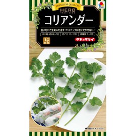 Takii Seedling Herb Coriander